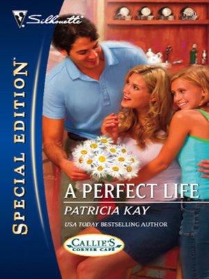cover image of A Perfect Life